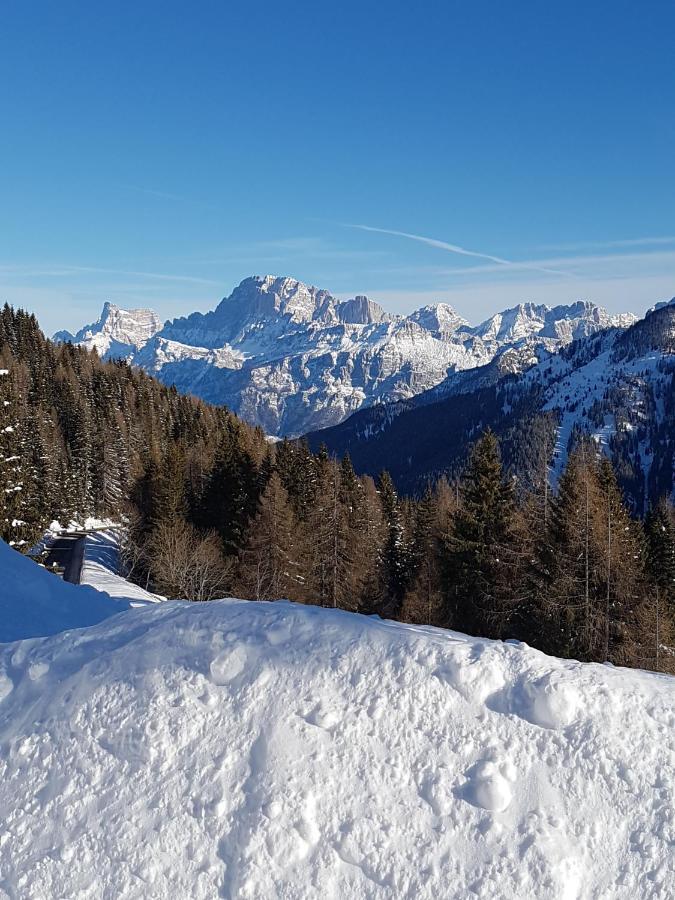 La Casa Degli Gnomi Lägenhet Falcade Exteriör bild